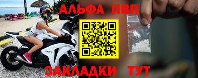 твердый Пугачёв