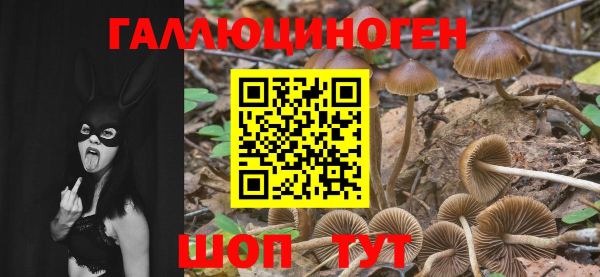 Псилоцибиновые грибы Psilocybine cubensis  Галлюциногенные грибы ЛСД  Вход с VPN  Рыбинск 